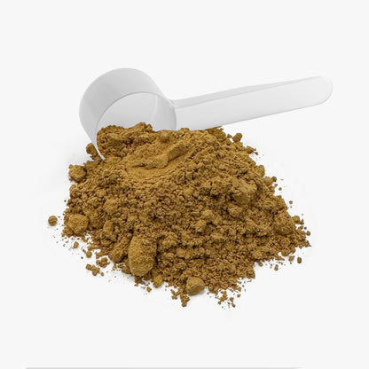 Better Human Goods Mushroom Fuse Instant Coffee — Medium Roast