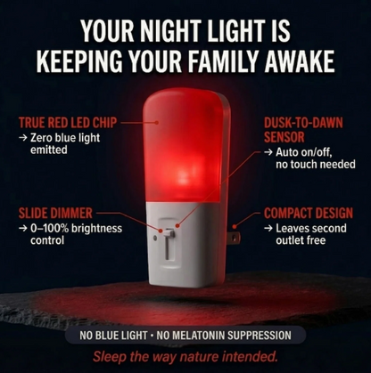 LED Night Lights