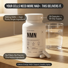 NMN Capsules — High Purity, One Active Ingredient, 500mg