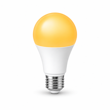 9W A19 amber LED bulb on a pure white background