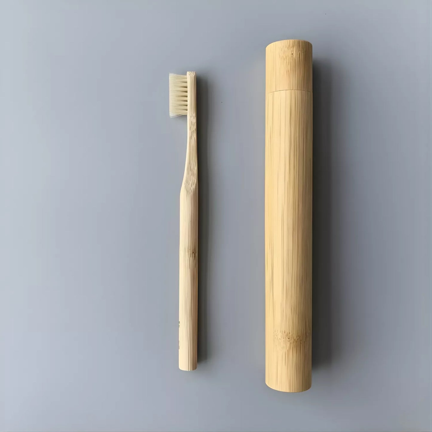 Boar Bristle Toothbrush — wholesale case packs, product photo on a white background, with travel case.