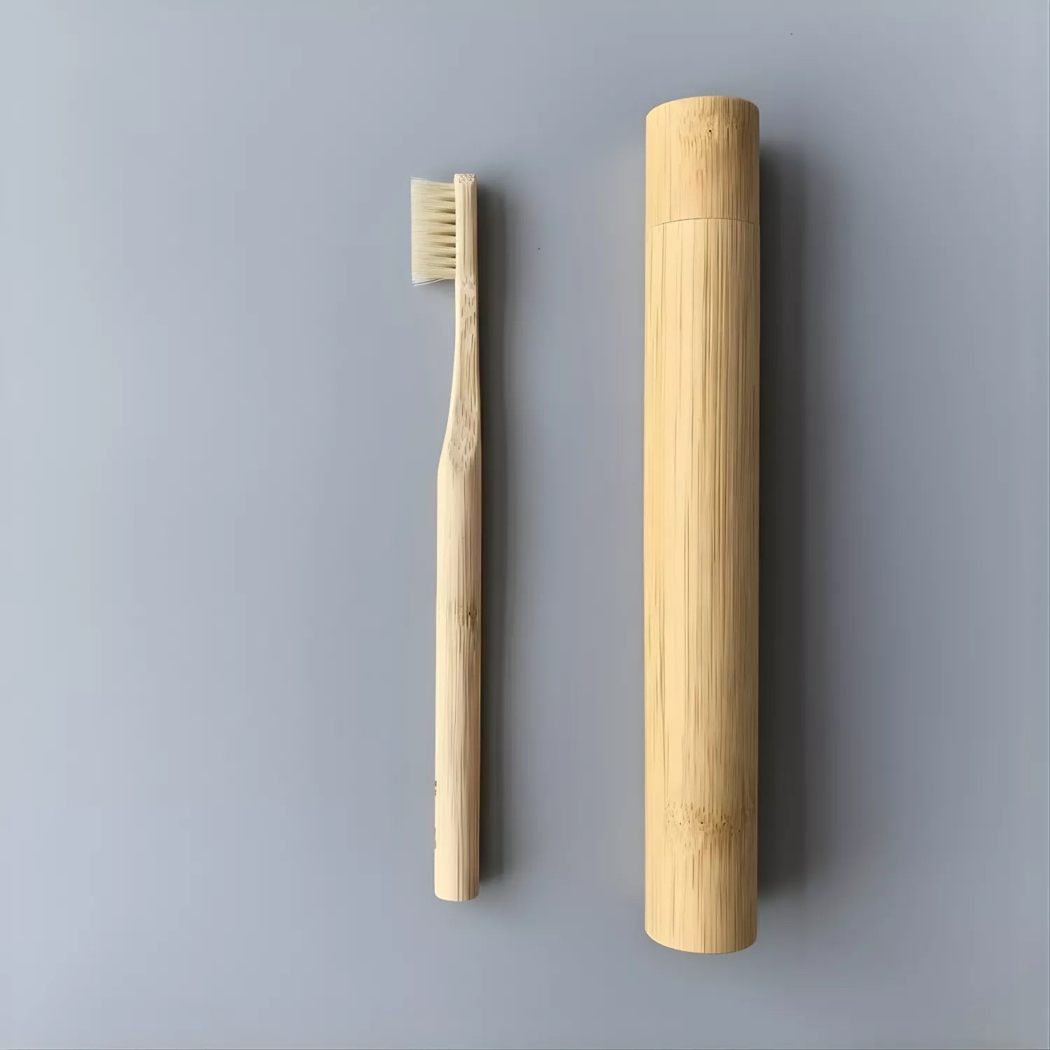 Boar Bristle Toothbrush — wholesale case packs, product photo on a white background, with travel case.