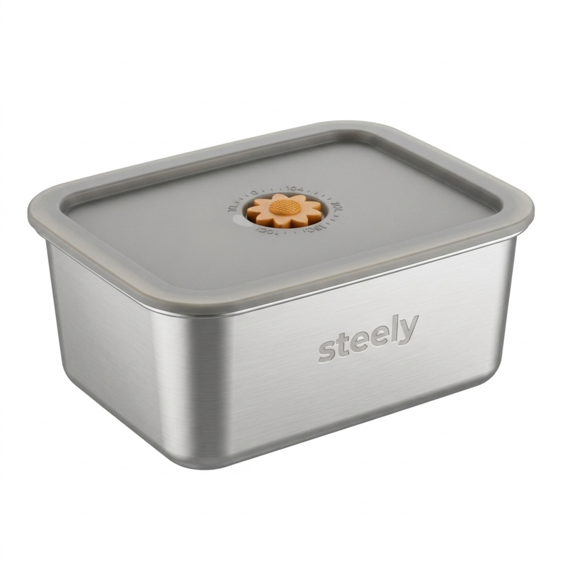 Stainless Steel Meal Prep Container, 2900ml size, product photo on a white background.