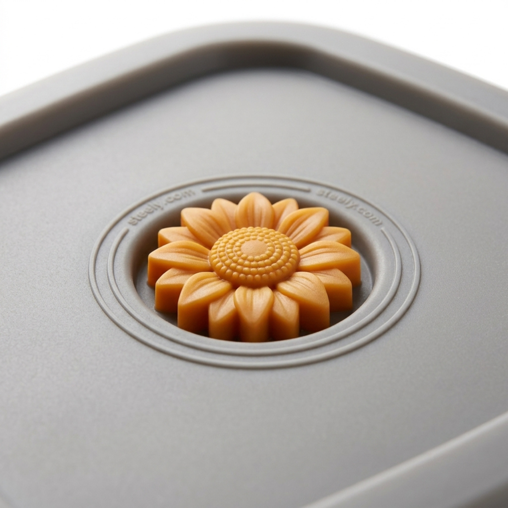 Stainless Steel Meal Prep Container — close-up zoom detail view.